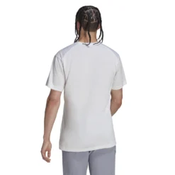 Camiseta Adidas Terrex Multi -Equipo Al Aire Libre adidas hm4047 5 apparel on model back view white nw032724